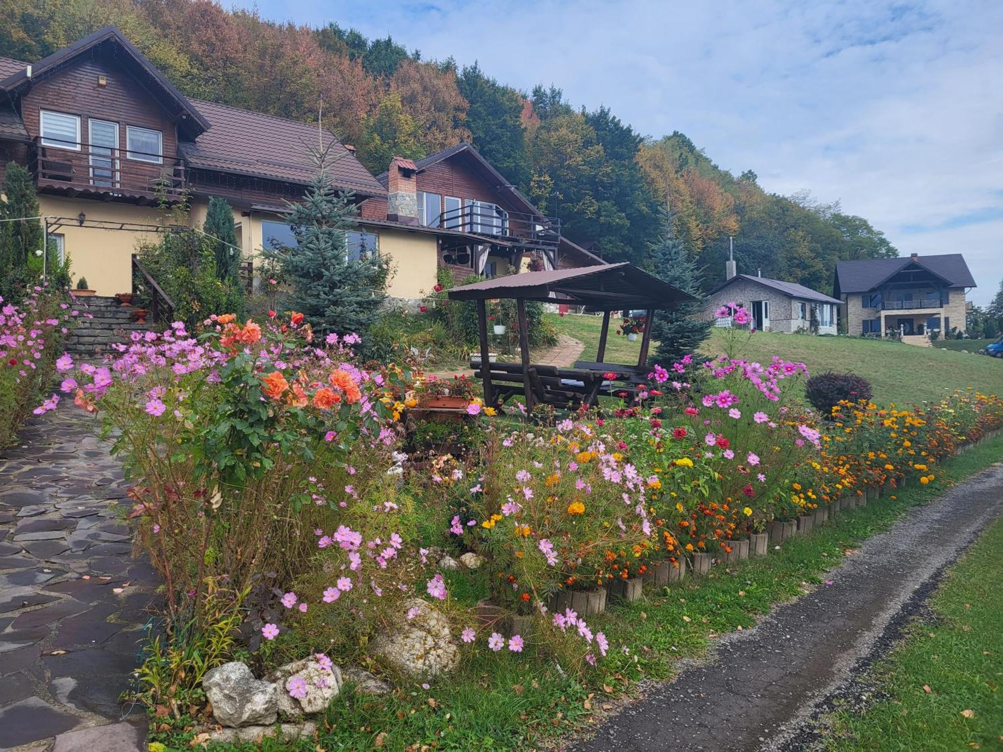 Dumbrava Ursului Hotell Zărneşti Exteriör bild